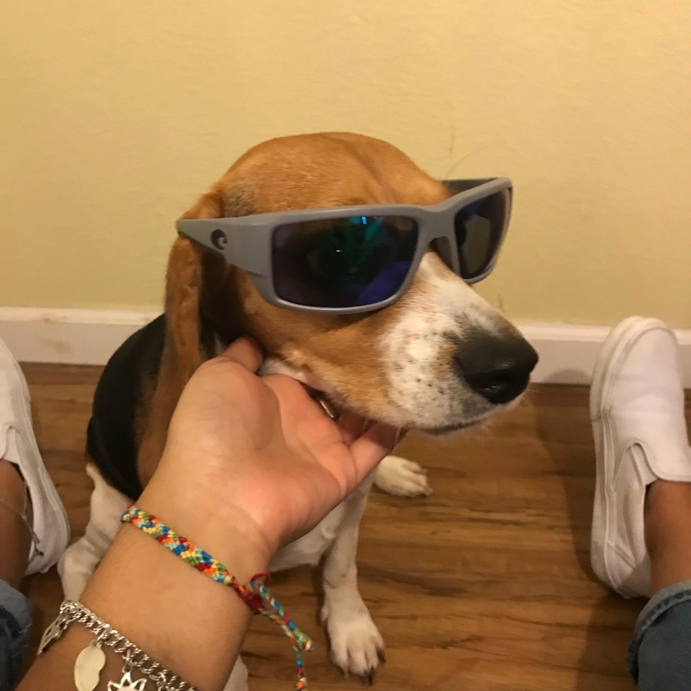 costa del mar men’s sunglasses